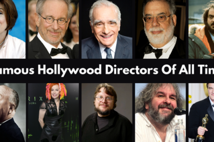 Hollywood Director