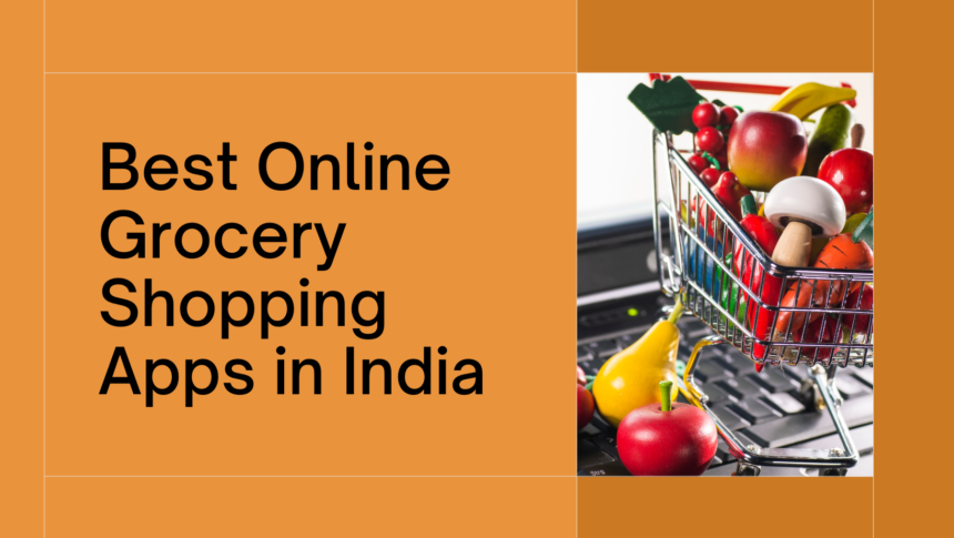 online grocery shopping app