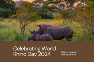 World Rhino Day