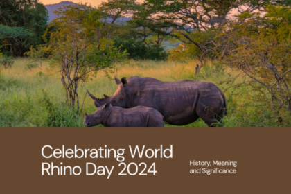 World Rhino Day