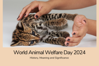 World Animal Welfare Day