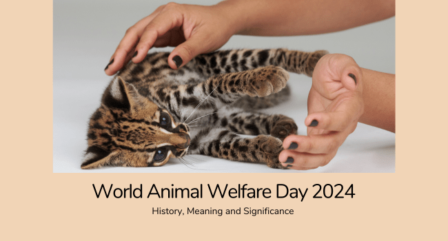 World Animal Welfare Day