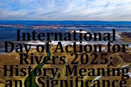 Action for Rivers 2025