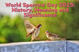 World Sparrow Day 2025